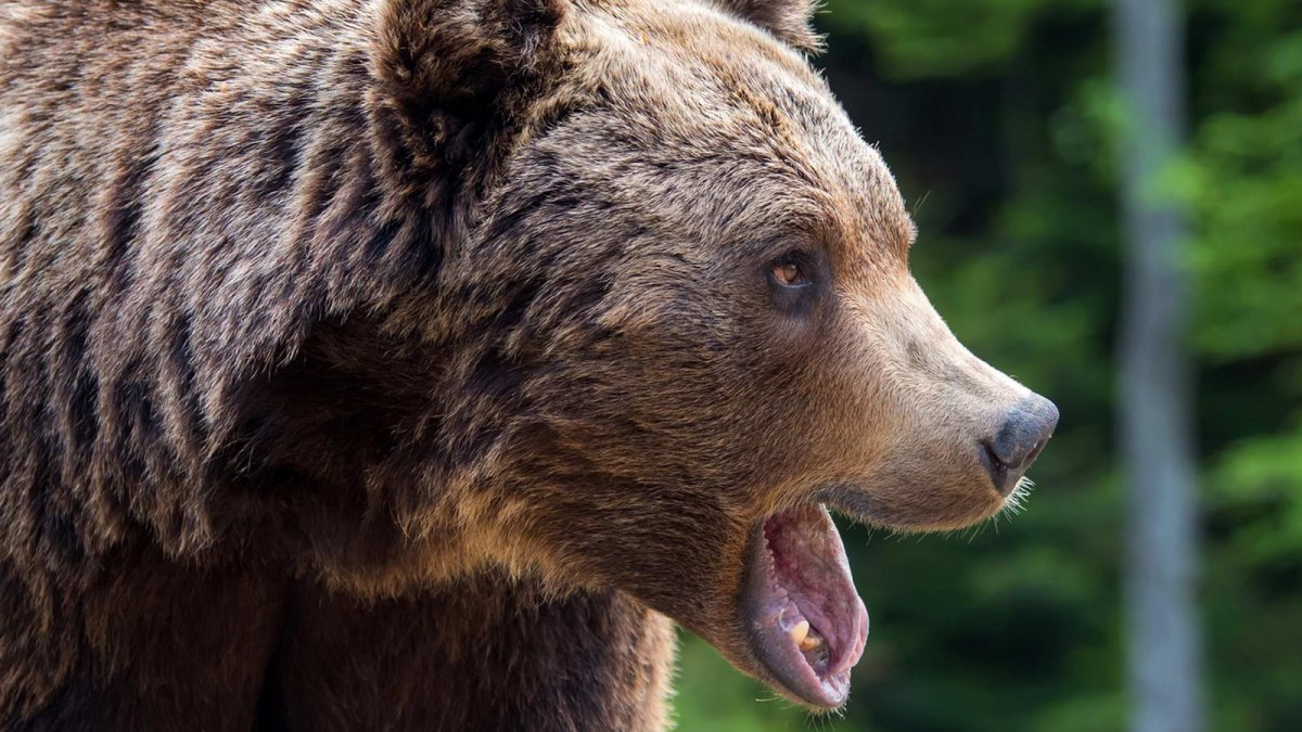 Ilustrační fotografie