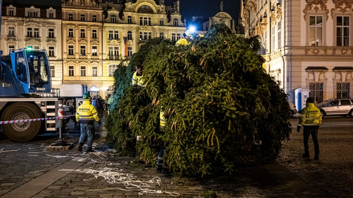 Ukotvení vánočního stromu na Staroměstském náměstí (26.11.2024)