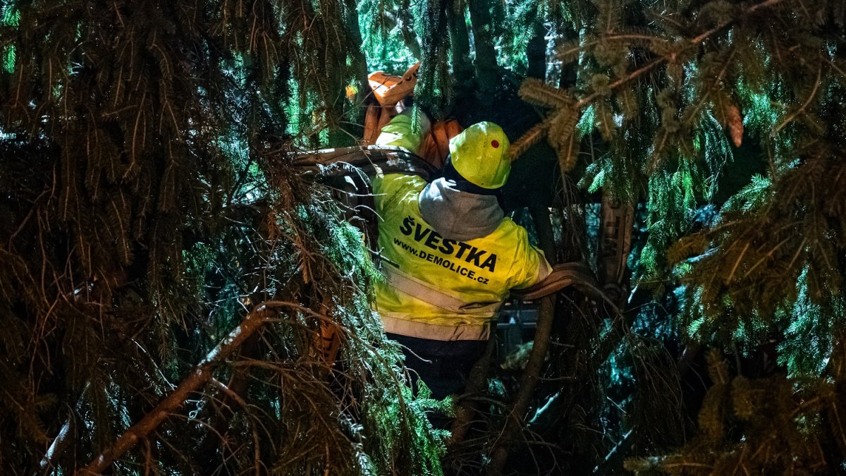 Ukotvení vánočního stromu na Staroměstském náměstí (26.11.2024)