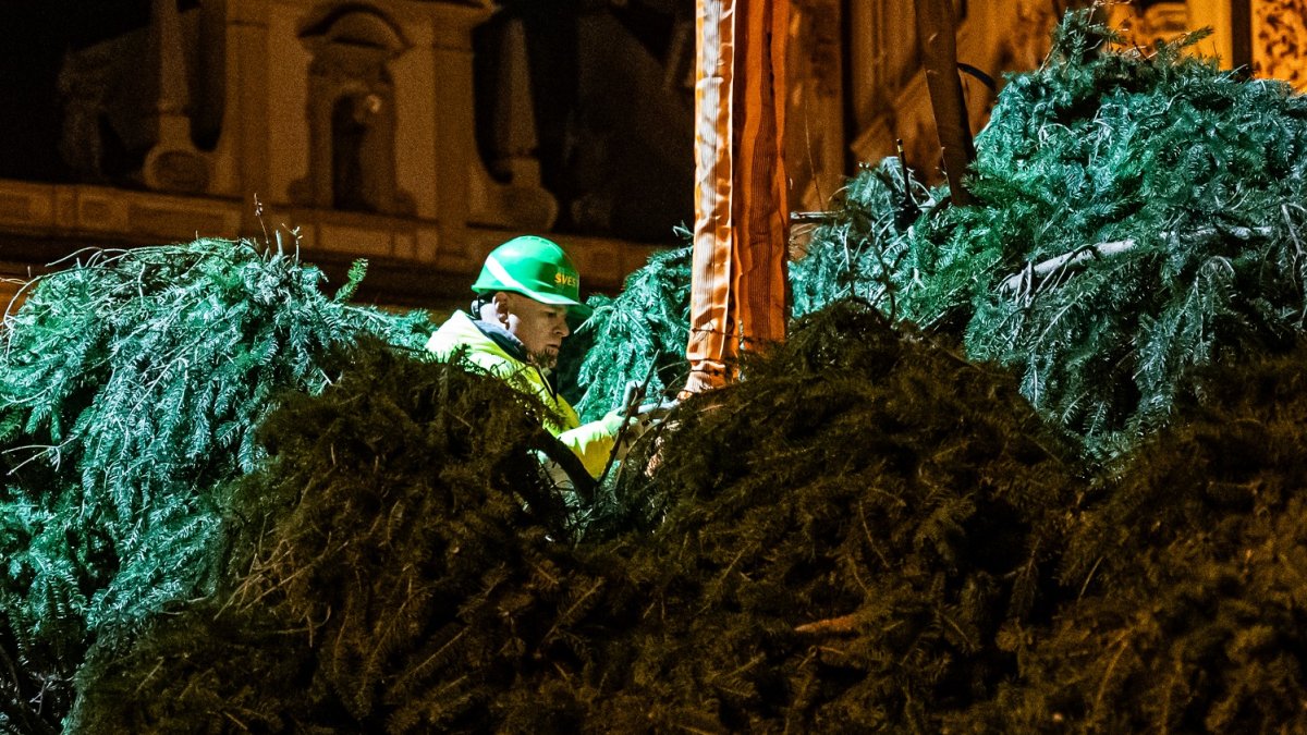 Ukotvení vánočního stromu na Staroměstském náměstí (26.11.2024)