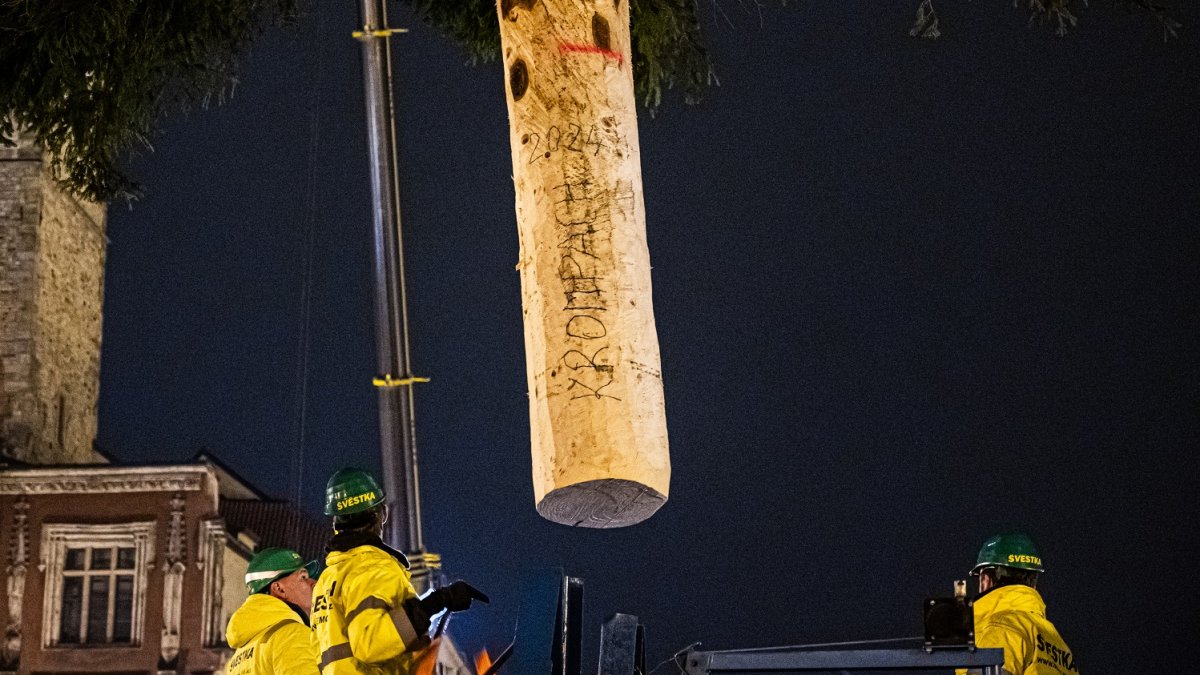 Ukotvení vánočního stromu na Staroměstském náměstí (26.11.2024)