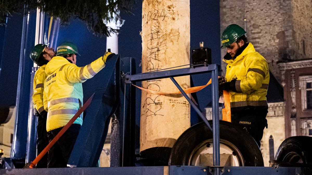 Ukotvení vánočního stromu na Staroměstském náměstí (26.11.2024)