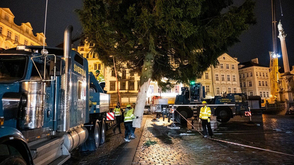 Ukotvení vánočního stromu na Staroměstském náměstí (26.11.2024)