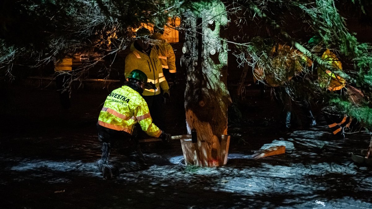 Ukotvení vánočního stromu na Staroměstském náměstí (26.11.2024)