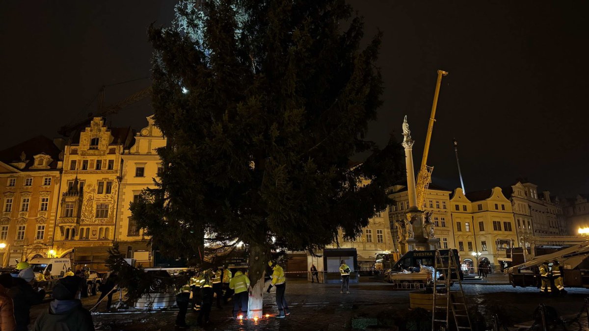 Ukotvení vánočního stromu na Staroměstském náměstí (26.11.2024)