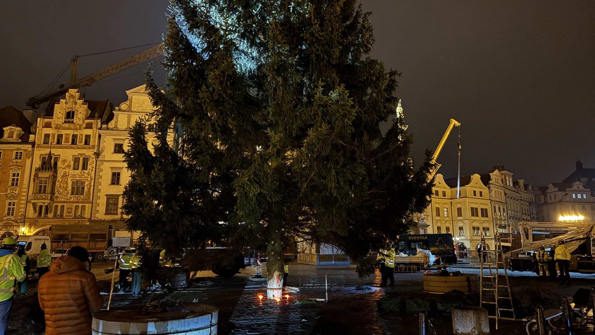 Ukotvení vánočního stromu na Staroměstském náměstí (26.11.2024)