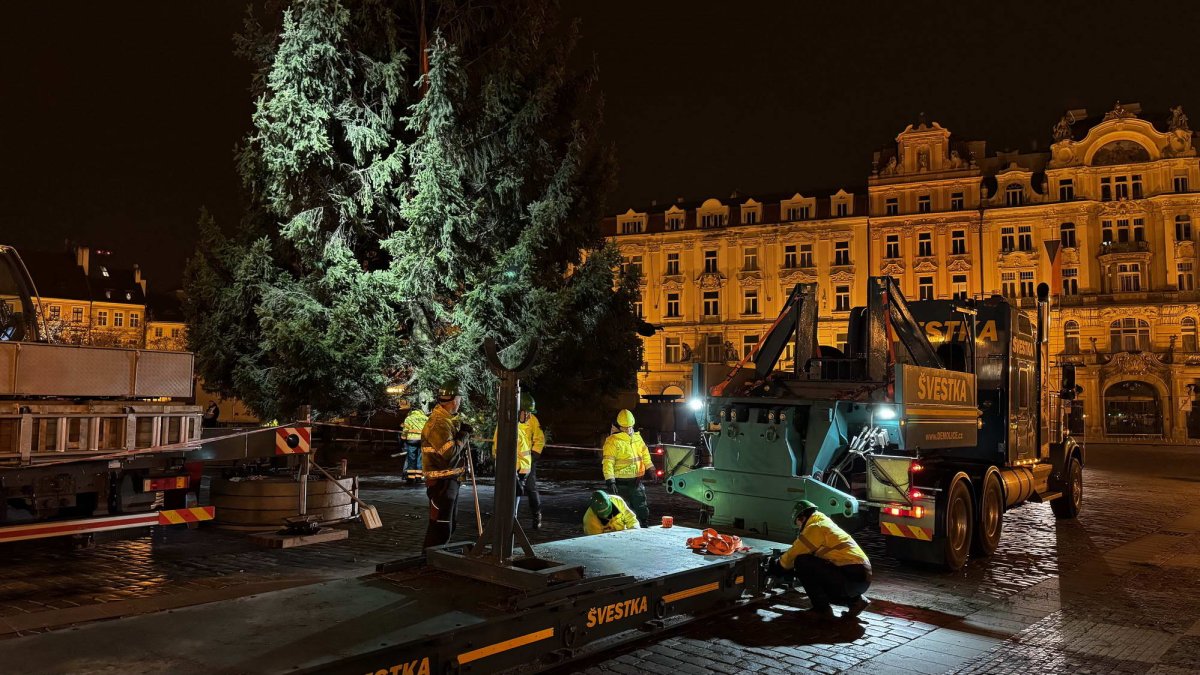 Ukotvení vánočního stromu na Staroměstském náměstí (26.11.2024)
