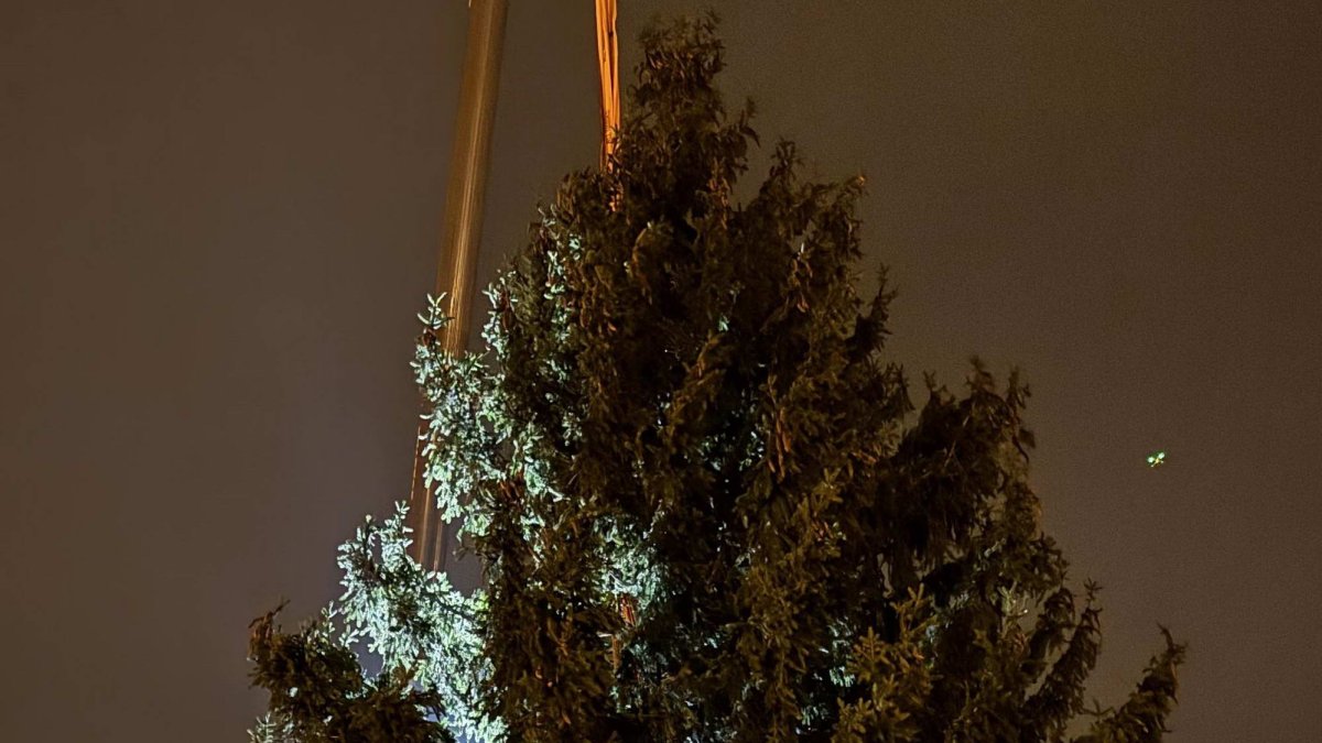 Ukotvení vánočního stromu na Staroměstském náměstí (26.11.2024)