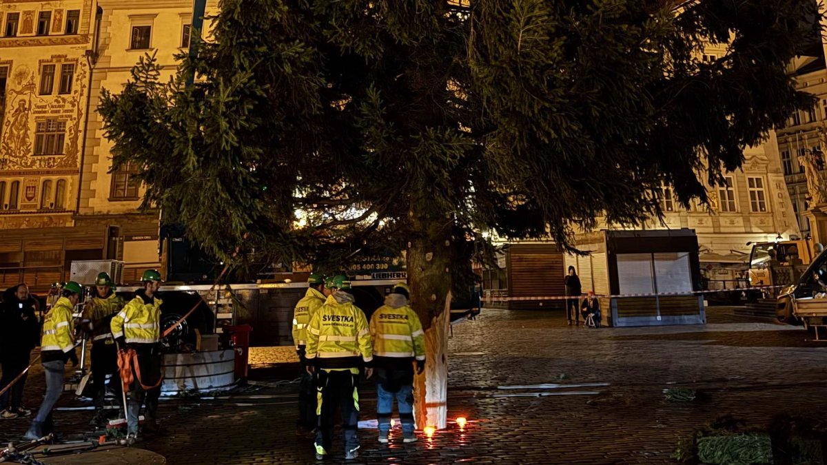 Ukotvení vánočního stromu na Staroměstském náměstí (26.11.2024)