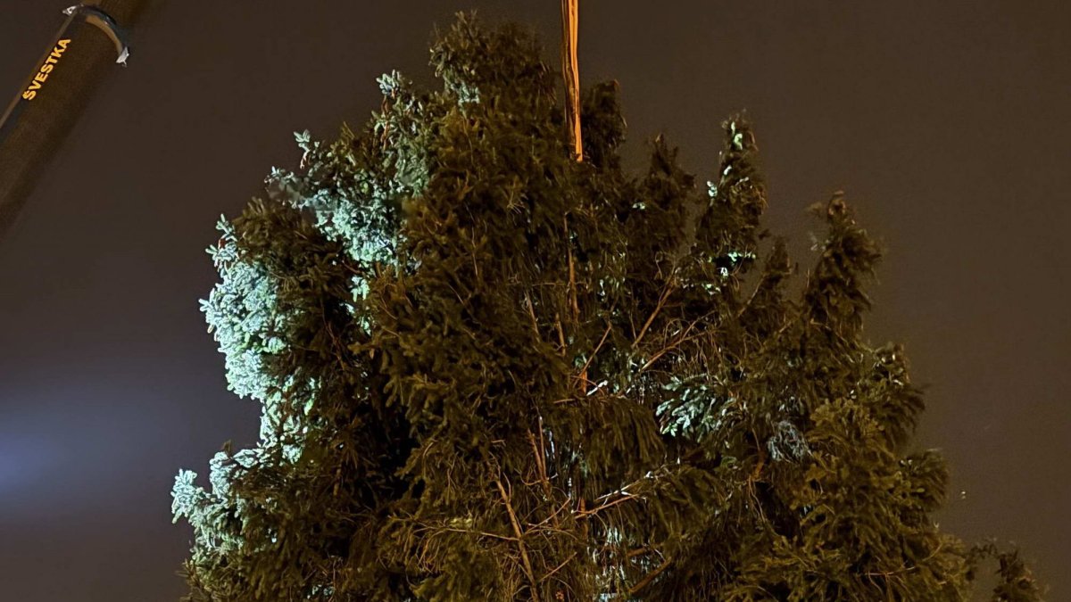 Ukotvení vánočního stromu na Staroměstském náměstí (26.11.2024)