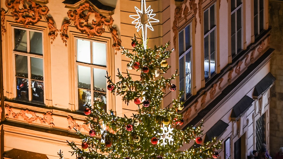 Vánoční strom na Staroměstském náměstí v Praze 2024