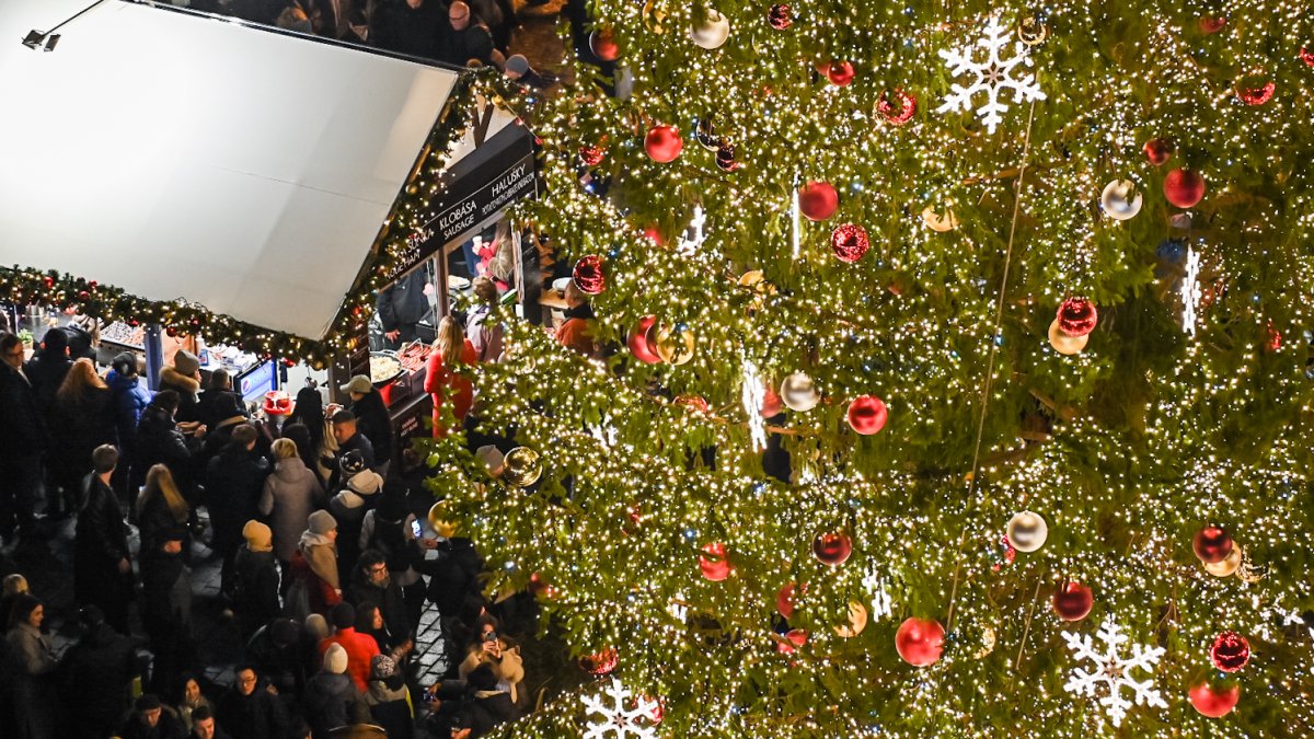 Vánoční strom na Staroměstském náměstí v Praze 2024