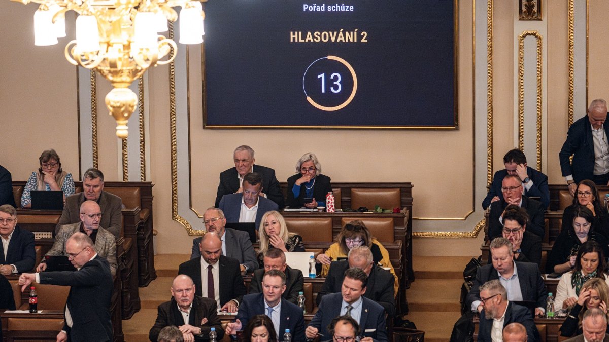 Hlasování v Poslanecké sněmovně