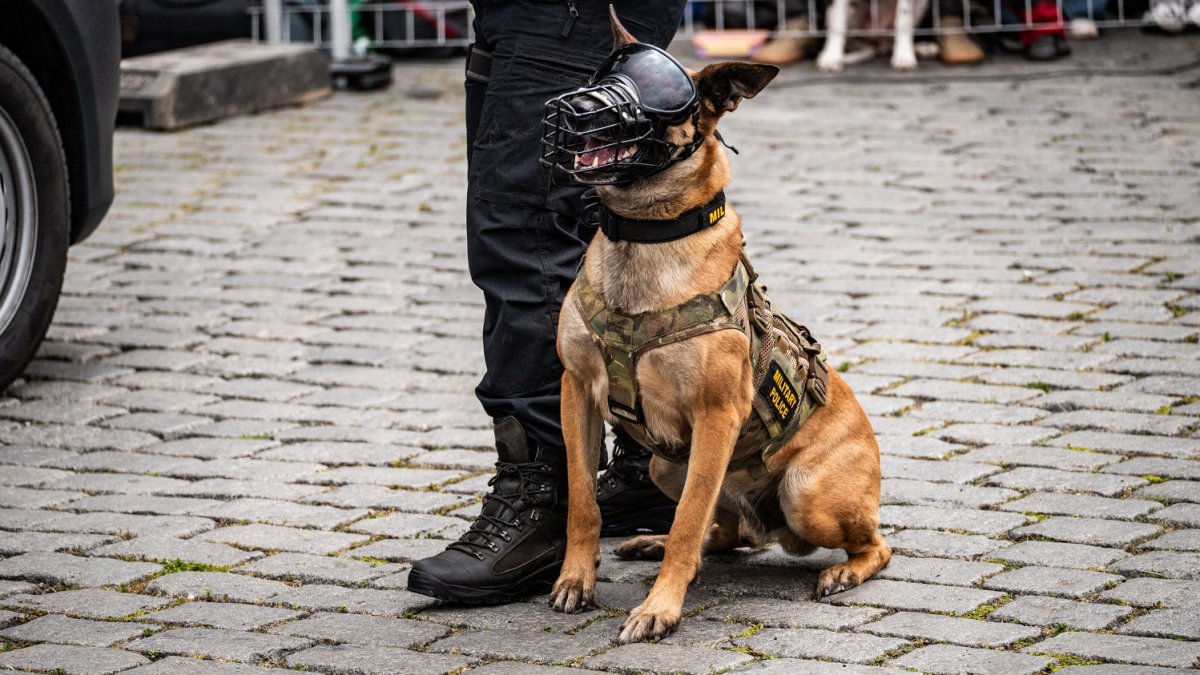 Armáda představila na pražské náplavce svoji techniku 