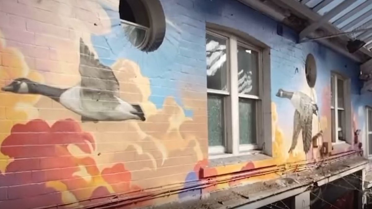 Nástěnná malba zachycuje místní volně žijící husy v letu mezi mraky