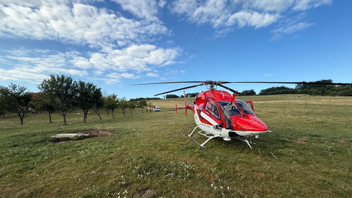 Na Slovensku zemřel člověk, kterého zranil daněk. (23.8.2025)