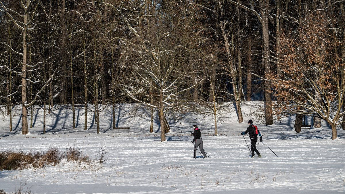 Zima, ilustrační fotografie. 