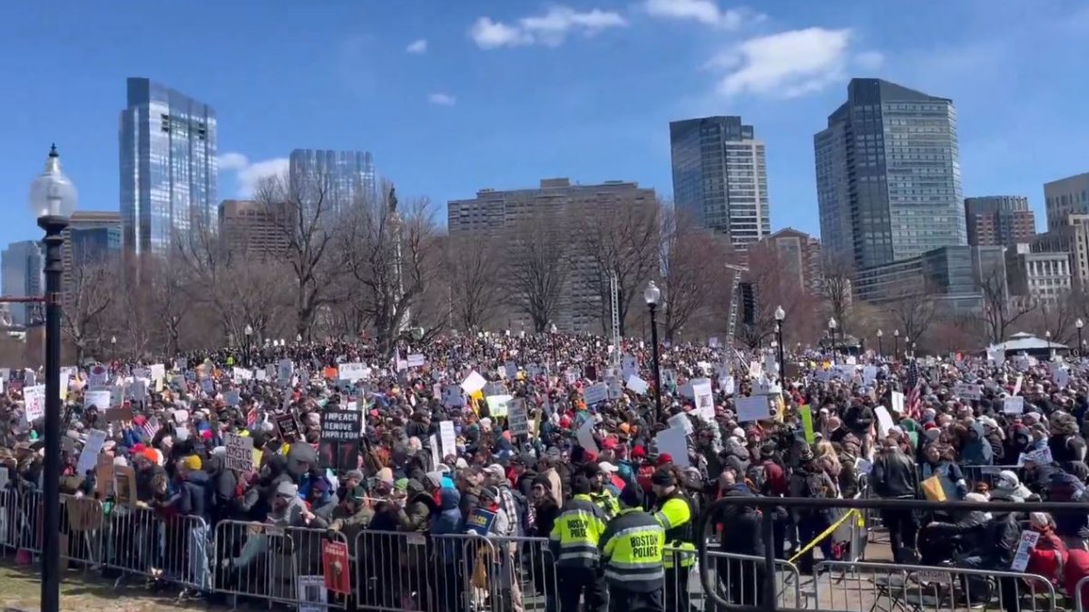 Demonstrace No Kings