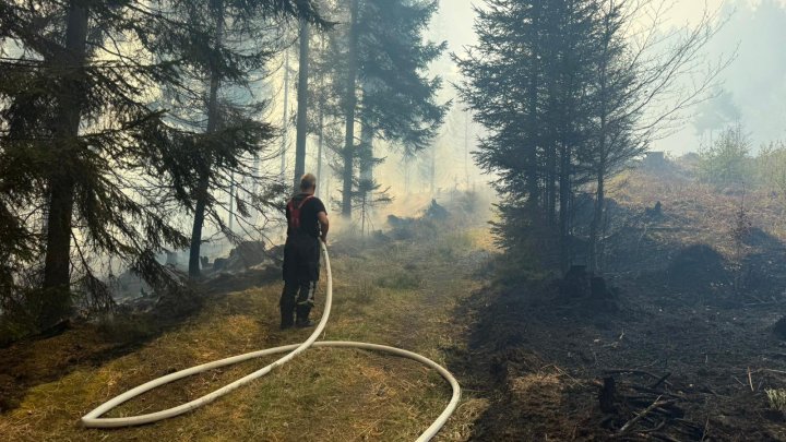 Hasiči zasahují u požáru v Českém Švýcarsku. 